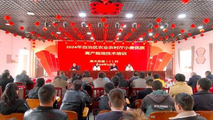 新疆新农人丨拜城:农技培训到地头 稳粮增产促增收