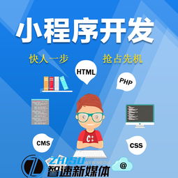 合肥微信小程序开发与推广 关键技术要点与策略指南