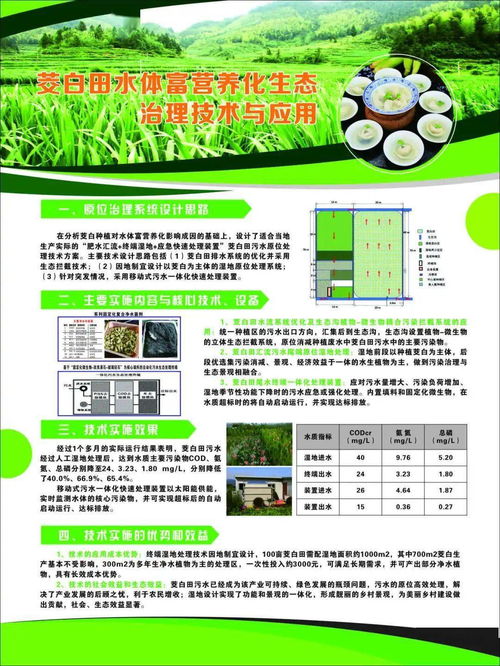 丽水山区茭白绿色可持续发展技术示范现场会在新建镇召开